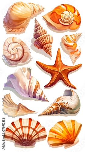 Diverse Collection of Striking Seashells and Starfish Showcasing Mesmerizing Designs and Textures from the Ocean