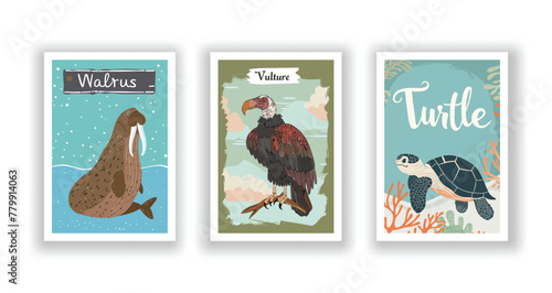 Wildlife and Nature Cards - Turtle. Vulture. Walrus, Hand drawn cute Fox flyer. Vector illustration
