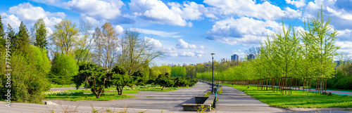 park in Chorzów on a sunny day