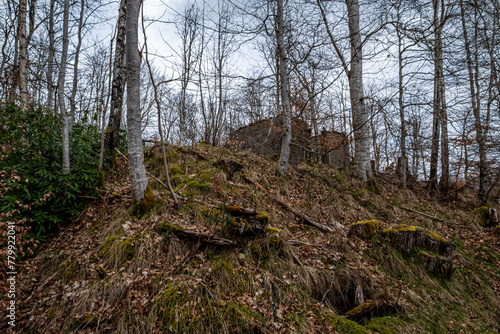 Dunalastair House Estate, Tummel Bridge photo