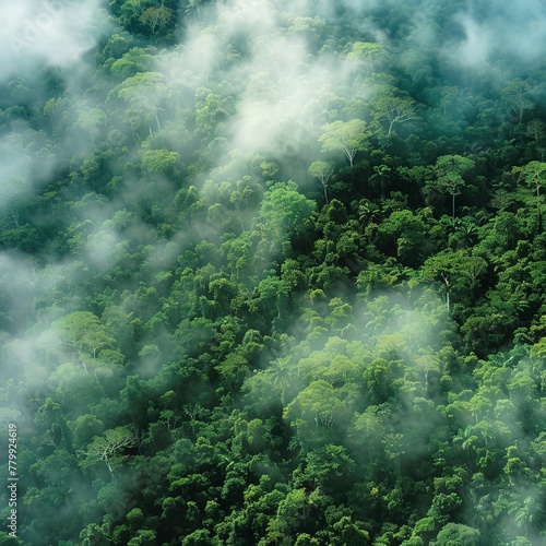 Rainforests coughing up clouds, their green lungs shrinking in the grip of deforestation and heat