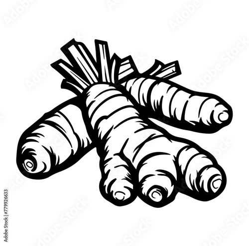 Ginger root rhizome herb flat vector icon