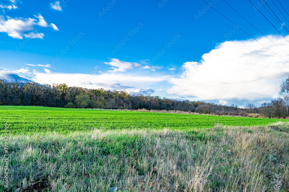 Obraz premium Photography on theme big empty farm field for organic harvest
