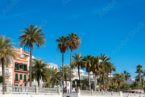 Sitges promenade seaside  landscape with palm trees  spain seafront 