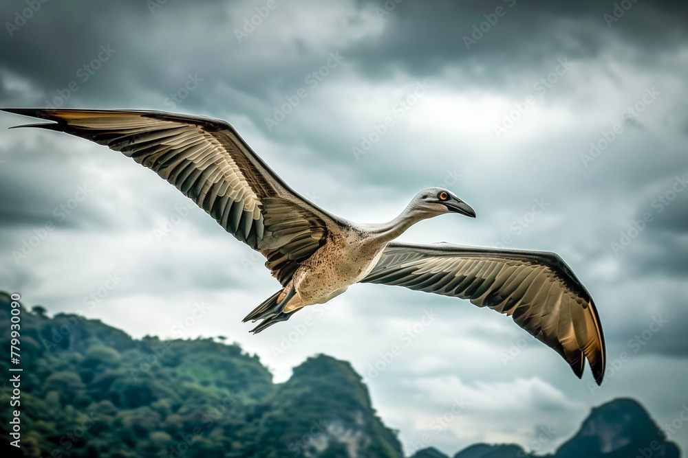 Fototapeta premium Flying pterodactyl over the land