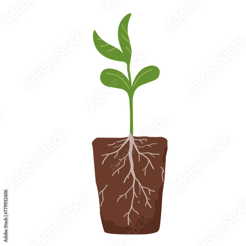 Sprout with roots and a clod of earth, spring planting. Vector illustration in flat style. © EkaterinaGr