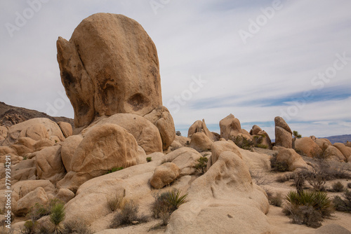 Unusual rock formations at Joshua Tree National Park
