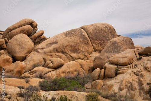 Unusual rock formations at Joshua Tree National Park
