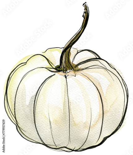 White pumpkin painted with watercolors on a white background. Colored watercolor 