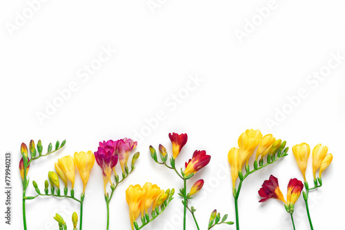 Bouquet of sprig freesia flowers isolated on white background Floral holiday card Top view Flat lay	