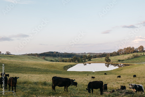 farm landscapes
