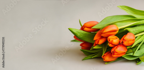 red tulip flowers on light gray background.