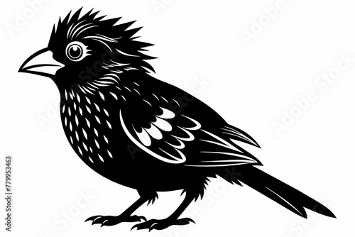 Lineated barbet black silhouette birds vector.