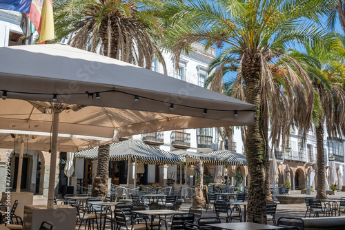 Sombrillas con mesas de hostelería y restaurantes en la plaza Grande de Zafra, ajardinada con palmeras, España