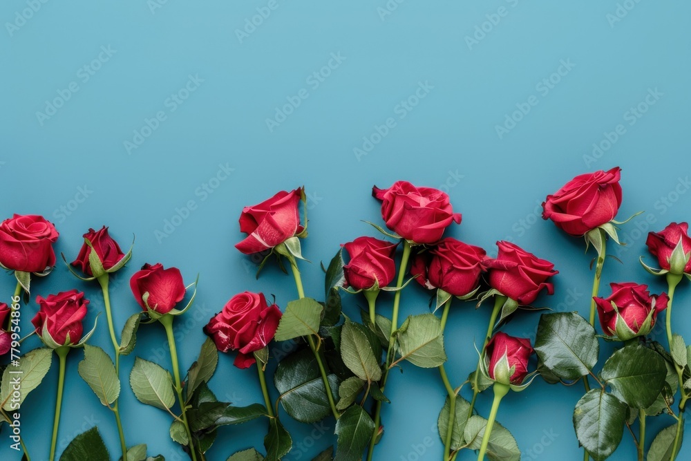 Roses on blue background. Top view with copy space. Mother's Day, Woman's Day, Easter, Valentine's Day, Wedding, and Birthday celebration card with space Roses on blue background. Top view with copy space. Mother's Day, Woman's Day, Easter, Valentine's Day, Wedding, and Birthday celebration card with space