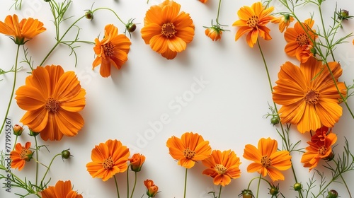 Orange floral frame on white background  large space for text in the center