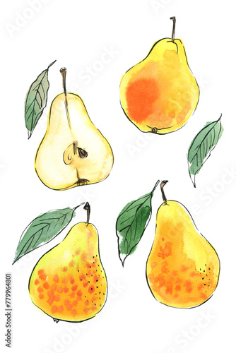 Pear Fruit sketch of food in watercolor and ink. Sketch of colored products on a white background.