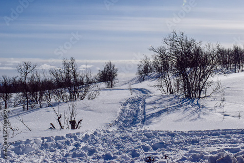 Winter landscape in Pallas Yllastunturi National Park, Lapland © Adam