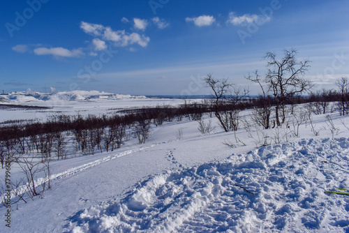 Winter landscape in Pallas Yllastunturi National Park, Lapland © Adam