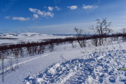 Winter landscape in Pallas Yllastunturi National Park, Lapland