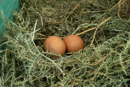 Two eggs are sitting on top of a pile of grass