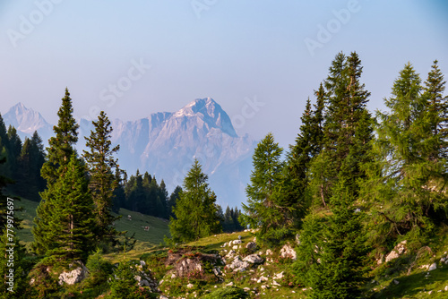 Lush green alpine pasture along hiking trail to mountain peak Dobratsch, Villacher Alps, Carinthia, Austria, Europe. High mountain ranges seen from montane forest. Tranquil wanderlust atmosphere photo