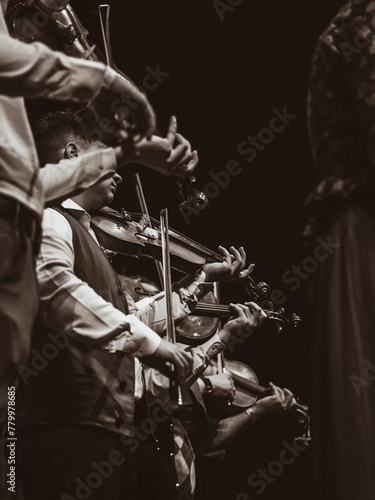 musicians playing on violin