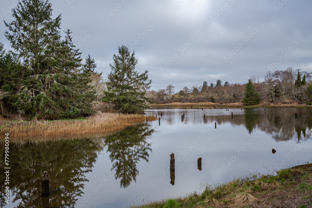 Obraz premium Chinook River calm water, Washington, in overcast spring morning