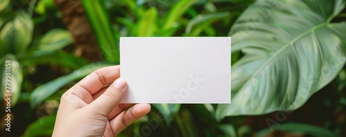 Closeup hand holding a blank white card with a plant background template for design presentation. Mockups of white business cards held in hands on a blur of green leaves and plants in background.