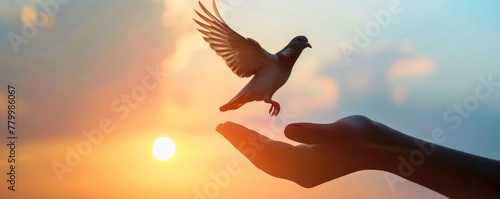 releasing a dove into a golden sunset, a powerful metaphor for peace and freedom photo