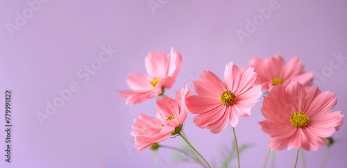 Pink flowers on a purple background. Beautiful background for your design  decoration