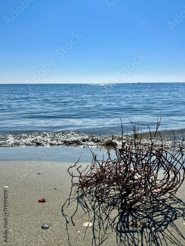 beach and sea