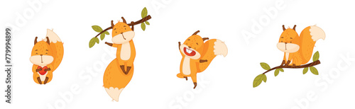 Cute Squirrel Character with Bushy Tail Engaged in Different Activity Vector Set