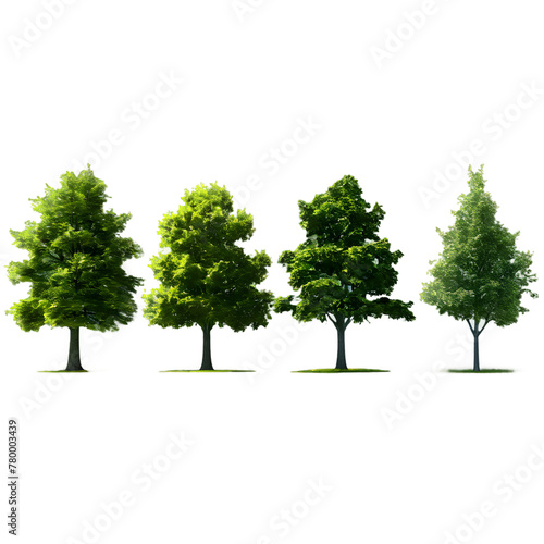 Set of trees  group of trees on isolated transparent PNG background