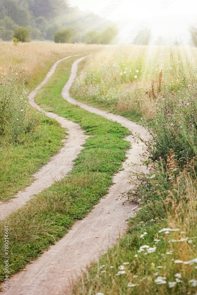 the road to the nature of the field in the countryside