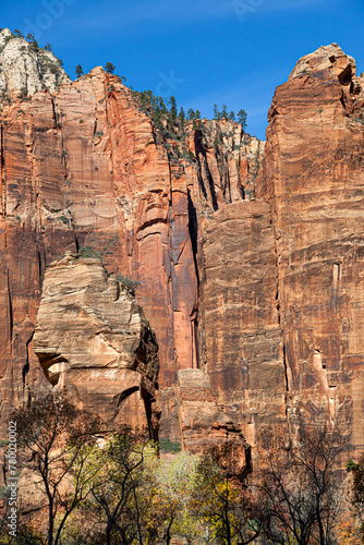 The Temple of Sinawava area of Zion National Park photo