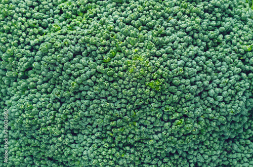 Broccoli texture background close up, top view