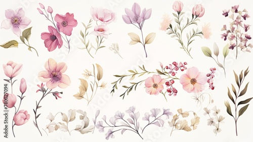 Set of gentle floral designs with various flowers and leaves painted in watercolors, perfect for invitations and textile designs © Damerfie