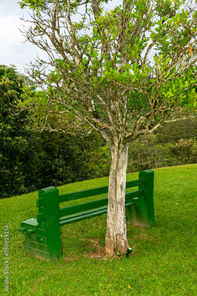 Green garden bench under tree on blue sky background with clouds. Green garden bench under tree on blue sky background with clouds.