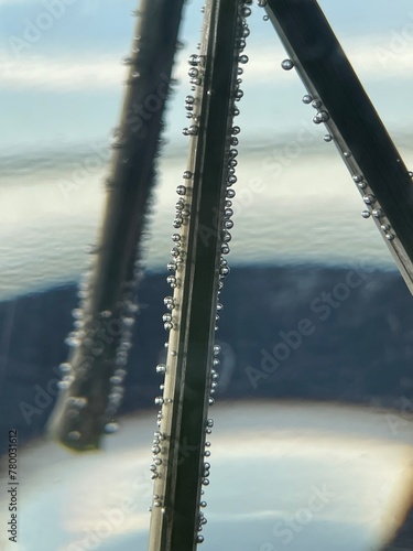underwater oxygen balloons in water on flower stems