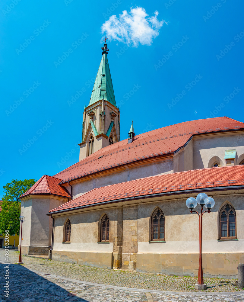 Naklejka premium Cathedral of Saint Daniel in Slovenian town Celje