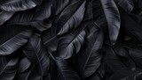Abstract black background with large tropical leaves, dark texture. background dark nature concept with copy space.