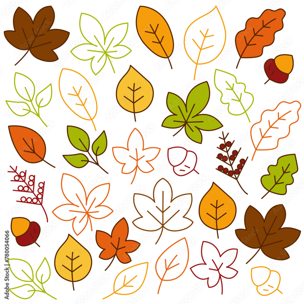 Obraz premium Autumn Leaves