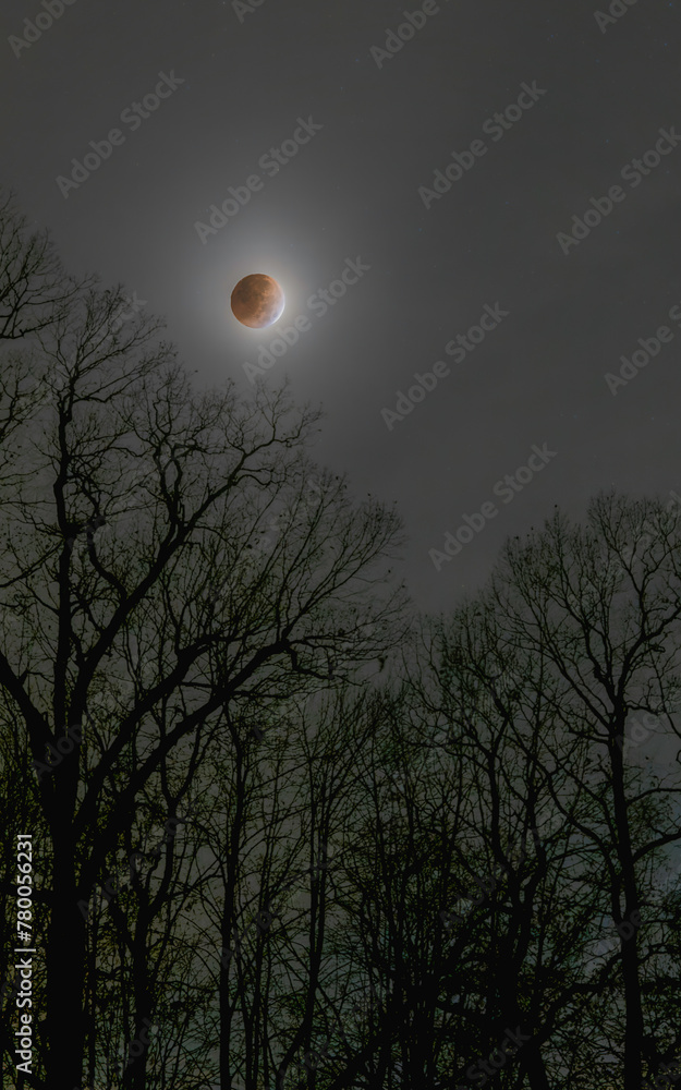 Beaver Moon Lunar Eclipse