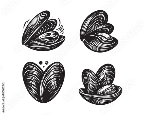 mussel silhouette vector icon graphic logo design