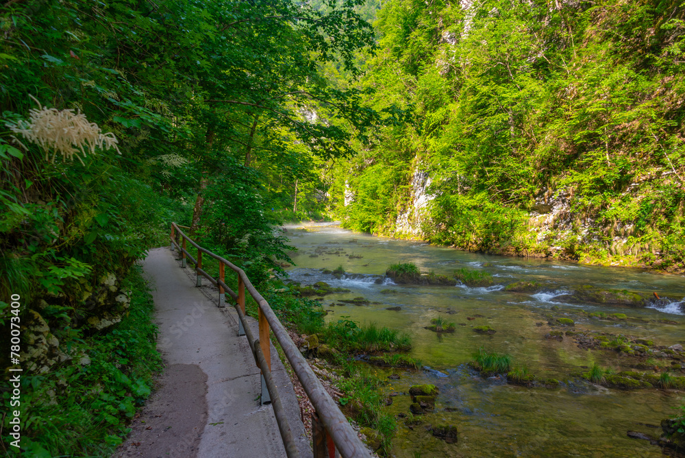 Vintgar gorge during a summer morning in Slovenia Vintgar gorge during a summer morning in Slovenia