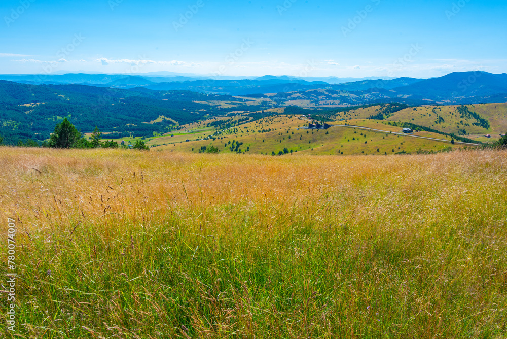 Zlatibor countryside in Serbia during a summer day Zlatibor countryside in Serbia during a summer day