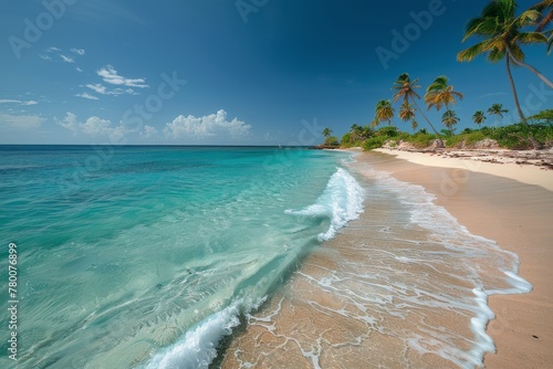 Sandy Beach With Blue Water and Palm Trees