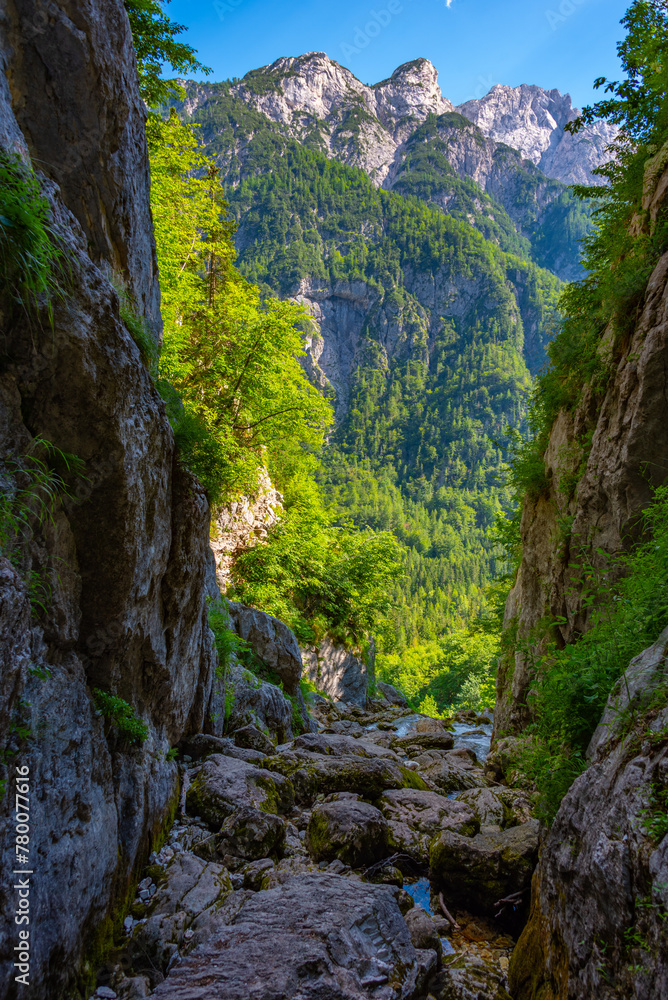 Spring of river Soca in Slovenia Spring of river Soca in Slovenia
