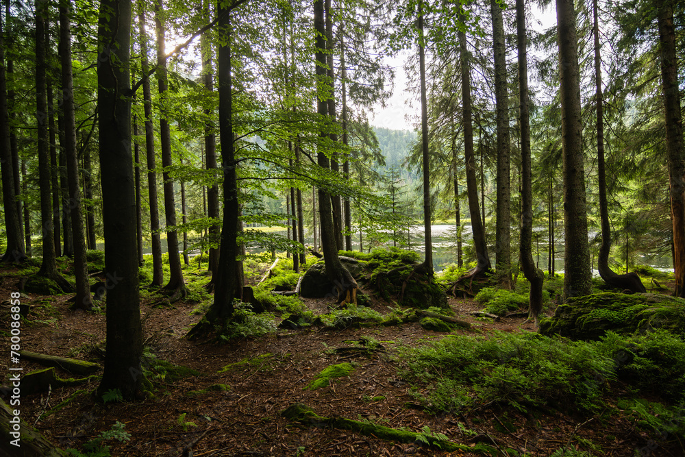 Fototapeta premium Great Arber Lake in the Bavarian Forest